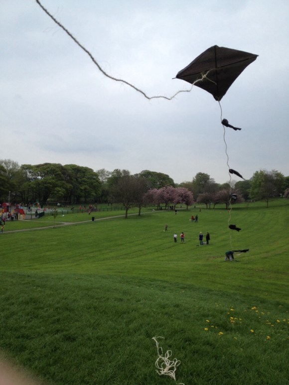 20140505-010339.jpg